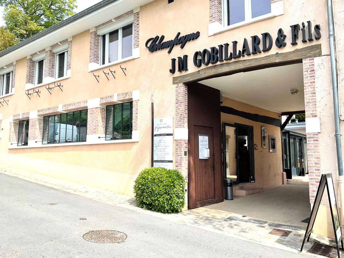 Apartment Les Loges Du Theatre Degustation Champagne Offerte Jacuzzi Sauna Jeux Velos Maison Prive 150M2 Historique 14Pers Max Emplacement Exceptionnel Et Chic, 200M De L'Avenue De Champagne, Gare, Musee, Jardins, Restaurations, Toutes Commodites *