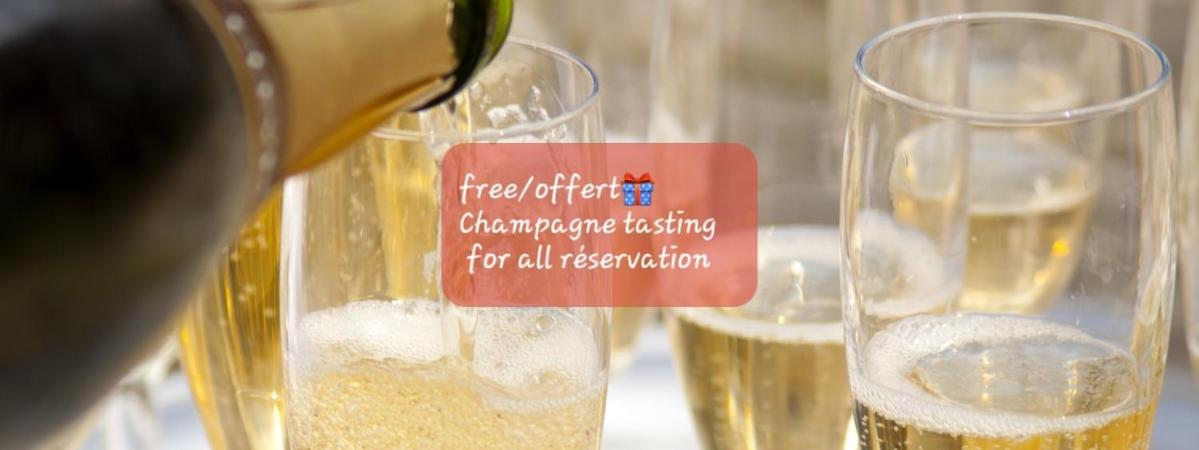 Apartment Les Loges Du Theatre Maison Prive 150m2 Acceuil Maximum 14 Personnes Degustation Champagne Offerte Jacuzzi Sauna Jeux Velos Emplacement Exceptionnel Et Chic, 200m De L'avenue De Champagne, Gare, Musee, Jardins, Restaurations, Toutes Commodites Épernay
