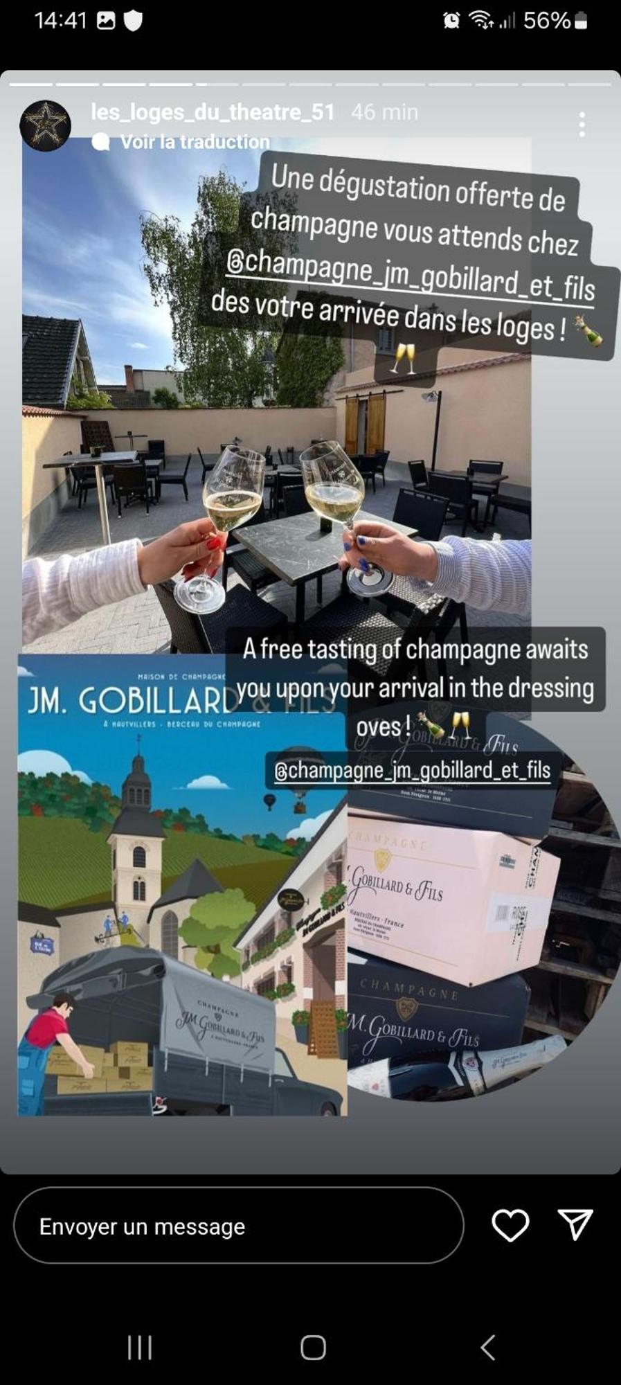 Les Loges Du Theatre Degustation Champagne Offerte Jacuzzi Sauna Jeux Velos Maison Prive 150M2 Historique 14Pers Max Emplacement Exceptionnel Et Chic, 200M De L'Avenue De Champagne, Gare, Musee, Jardins, Restaurations, Toutes Commodites *