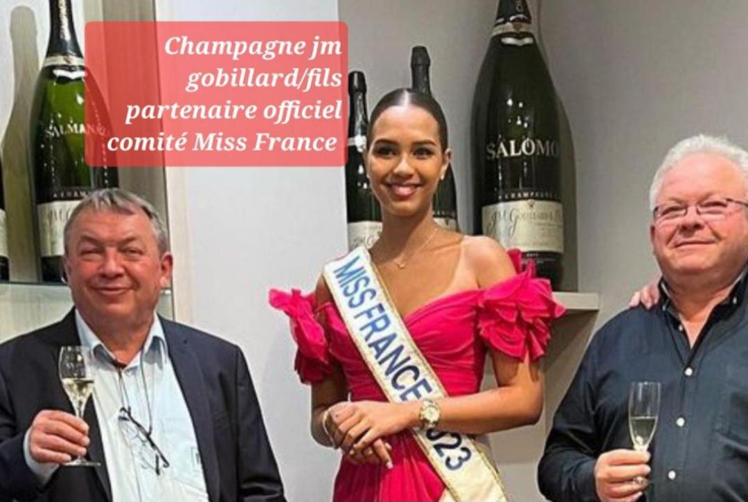 Les Loges Du Theatre Degustation Champagne Offerte Jacuzzi Sauna Jeux Velos Maison Prive 150M2 Historique 14Pers Max Emplacement Exceptionnel Et Chic, 200M De L'Avenue De Champagne, Gare, Musee, Jardins, Restaurations, Toutes Commodites Apartment *