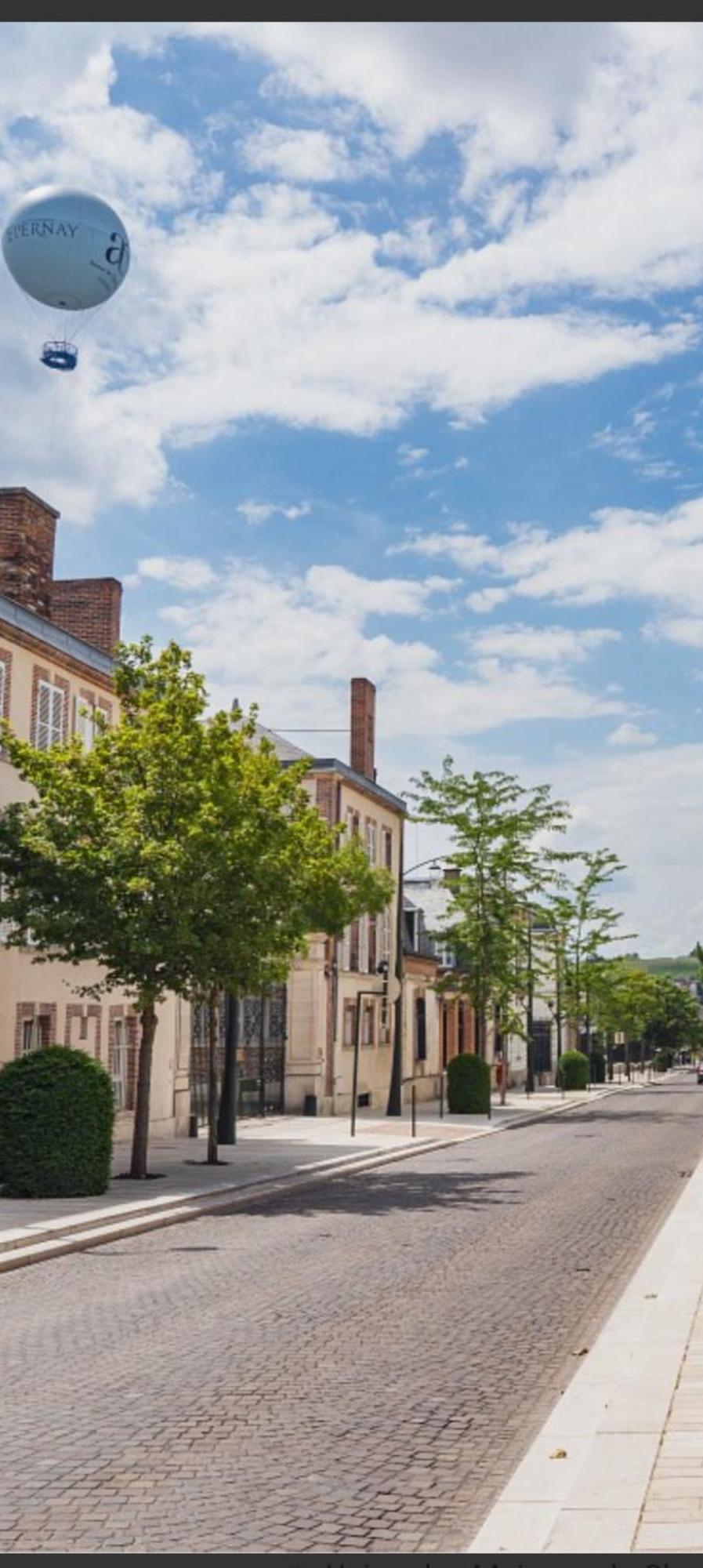 Les Loges Du Theatre Degustation Champagne Offerte Jacuzzi Sauna Jeux Velos Maison Prive 150M2 Historique 14Pers Max Emplacement Exceptionnel Et Chic, 200M De L'Avenue De Champagne, Gare, Musee, Jardins, Restaurations, Toutes Commodites Apartment Épernay